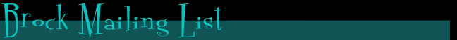 bmaillisttop.JPG (14238 bytes)